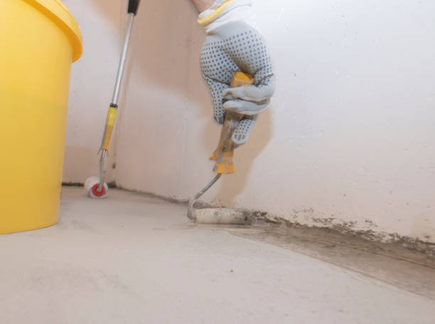 Best Fumigation Services  in Yankton, SD